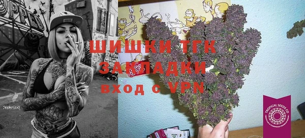 дмт Осинники