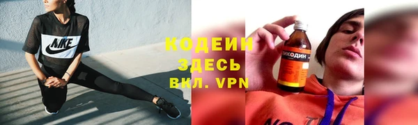 дмт Осташков
