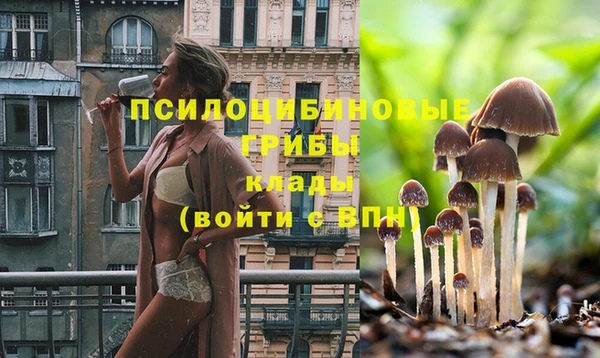 дмт Осташков