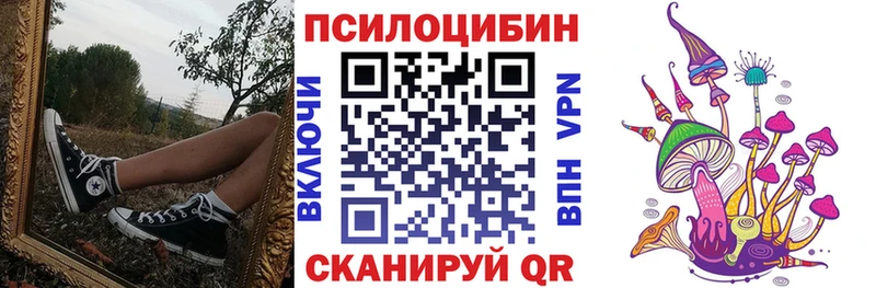 Купить где  Кизел  Галлюциногенные грибы Psilocybine cubensis 